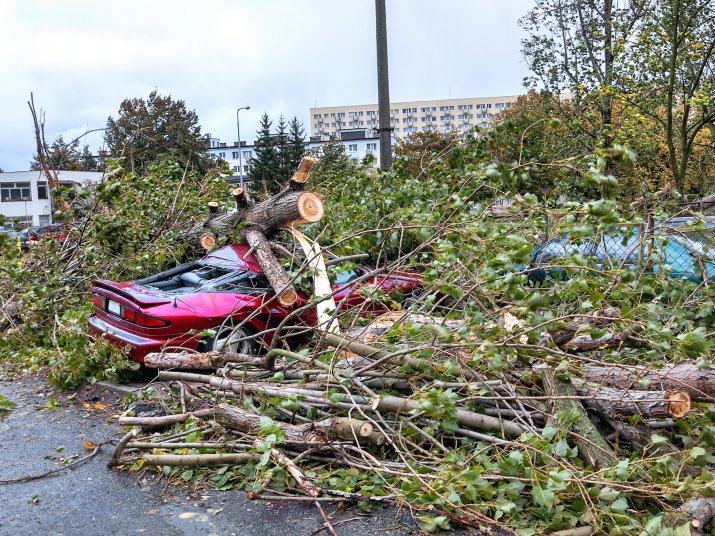 Zniszczenia przez przewrócone drzewo
