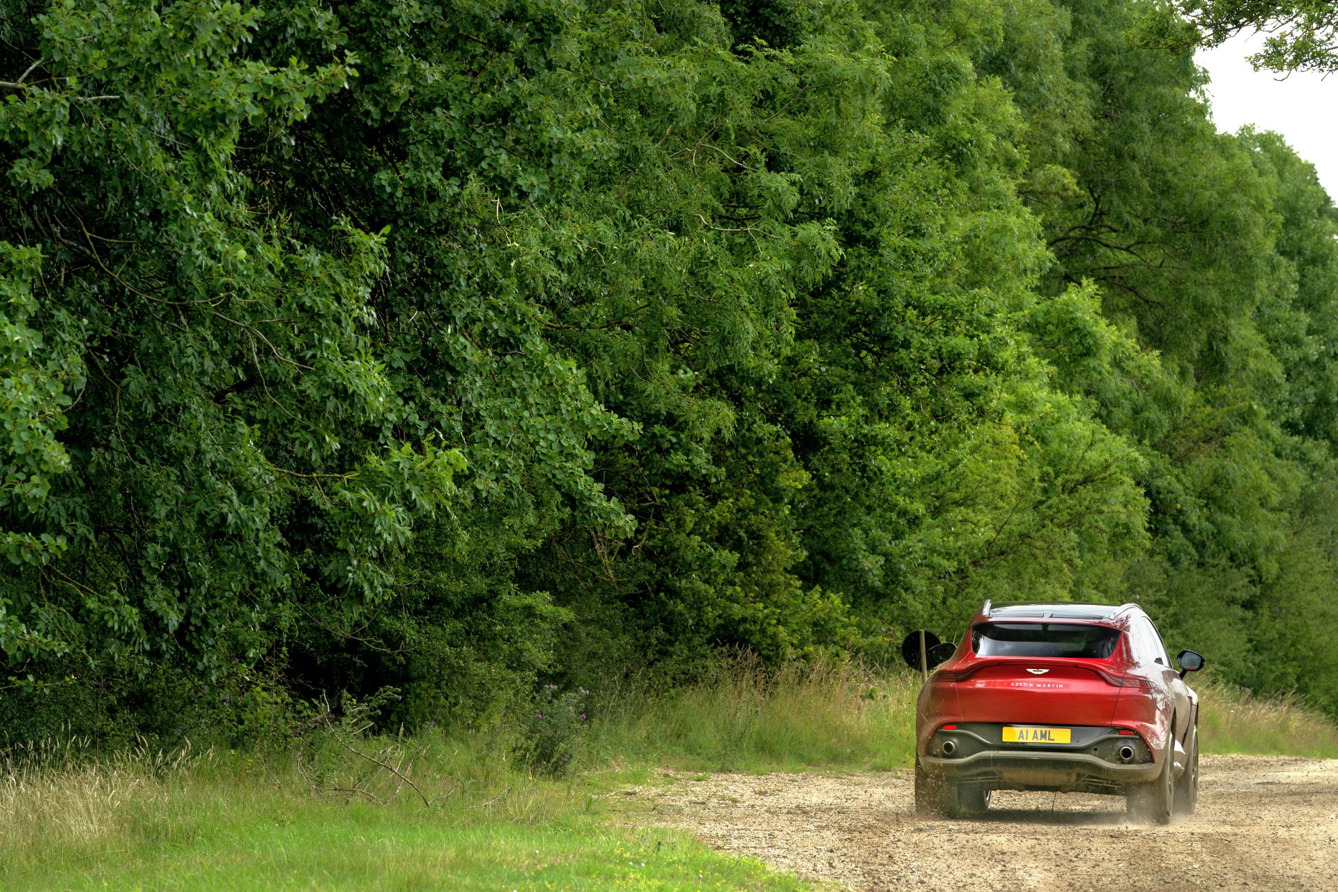 Aston Martin DBX (5)