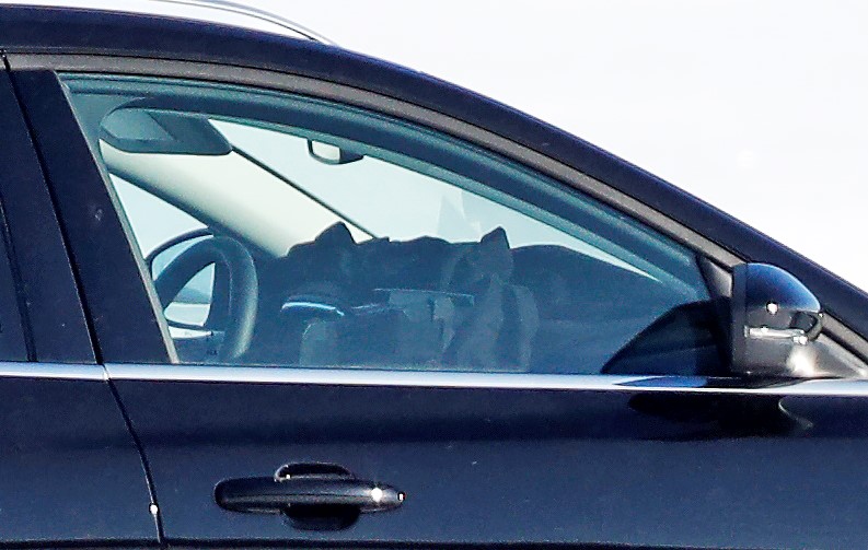 Ford Focus Wagon facelift 15