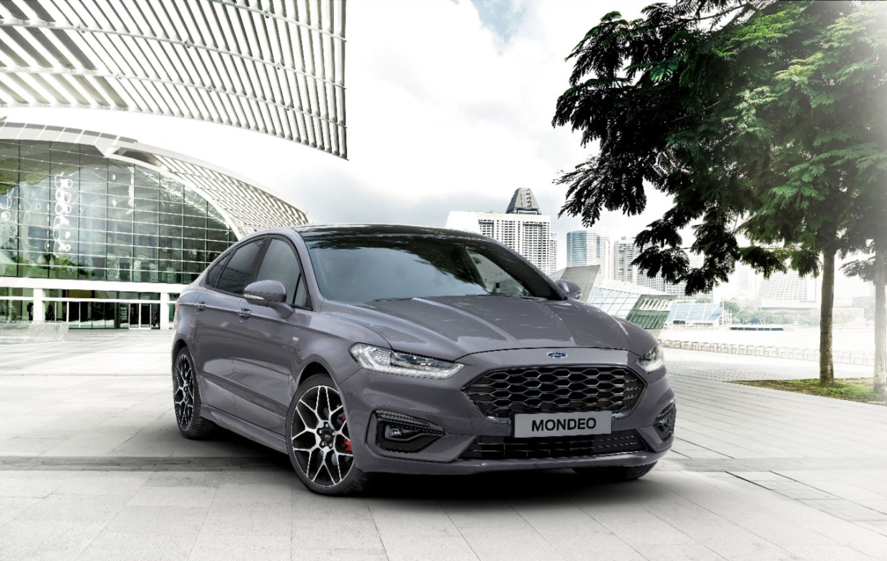 2019Mondeo