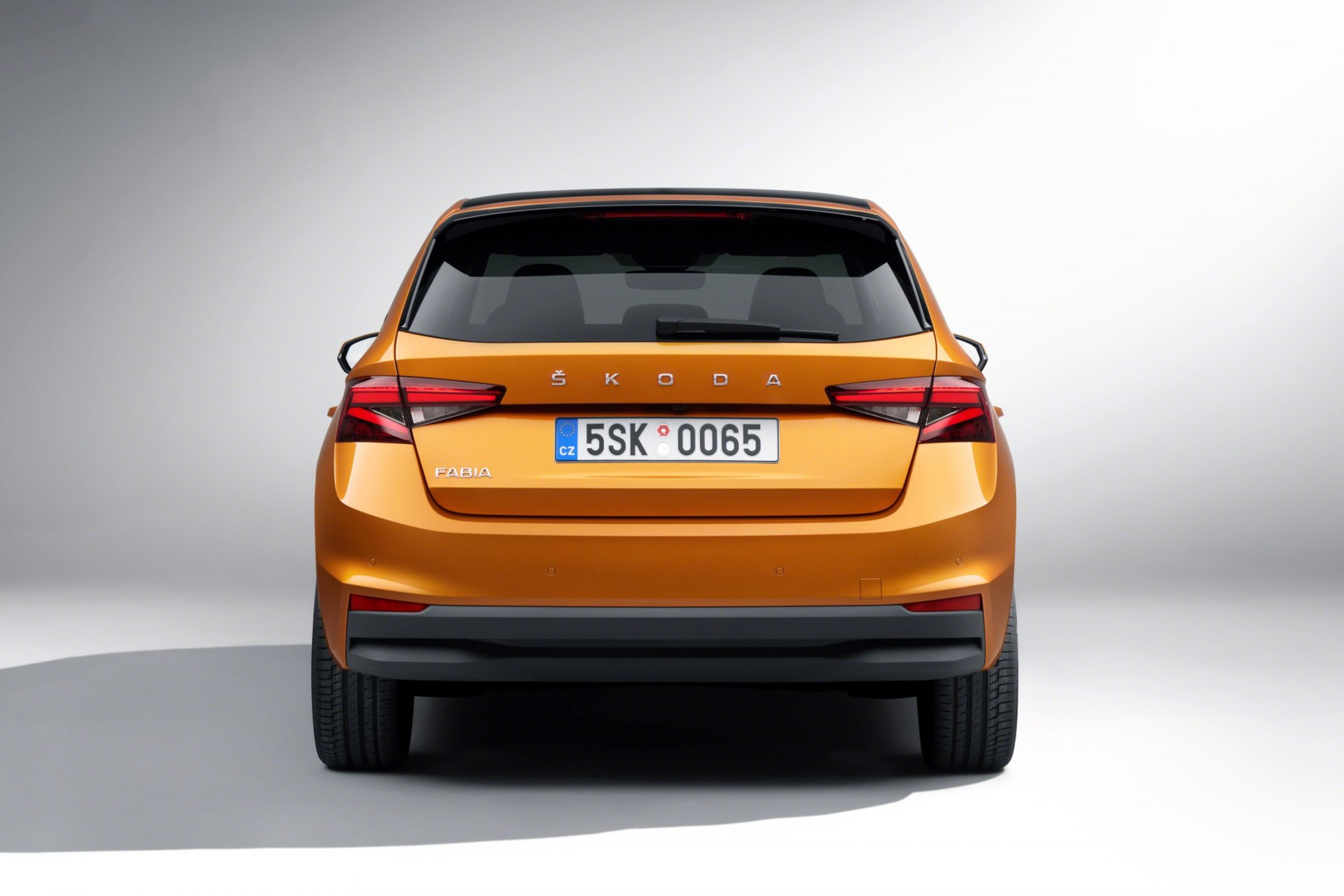 Fabia_tyl