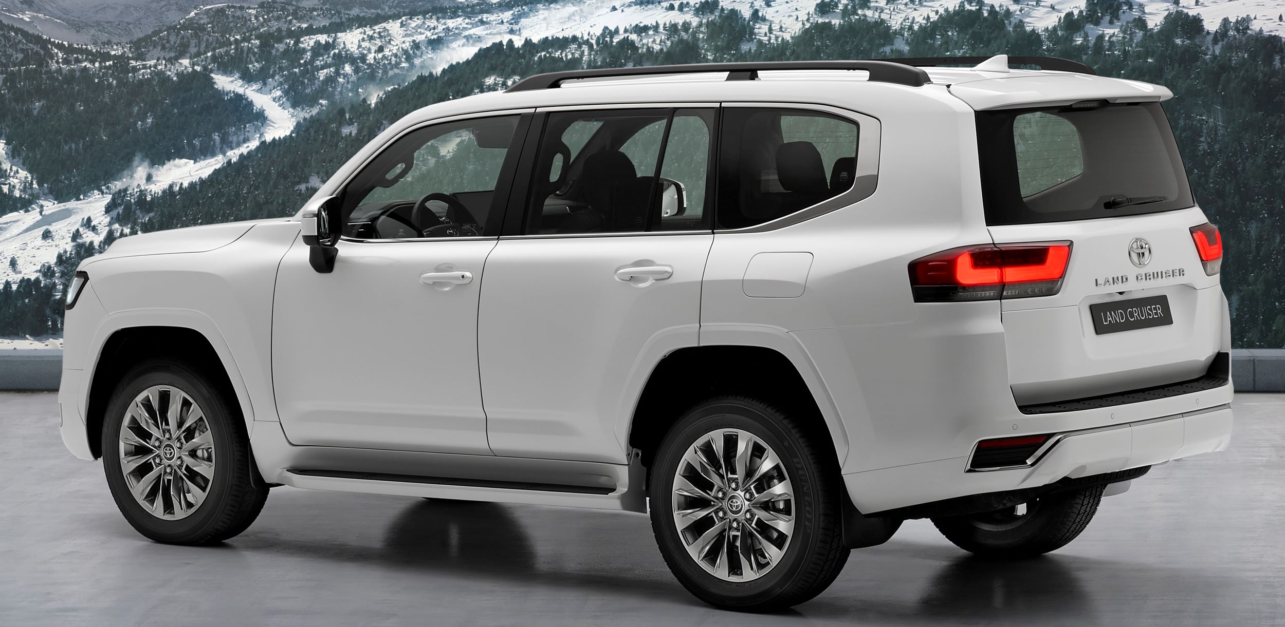 Toyota Land Cruiser tył