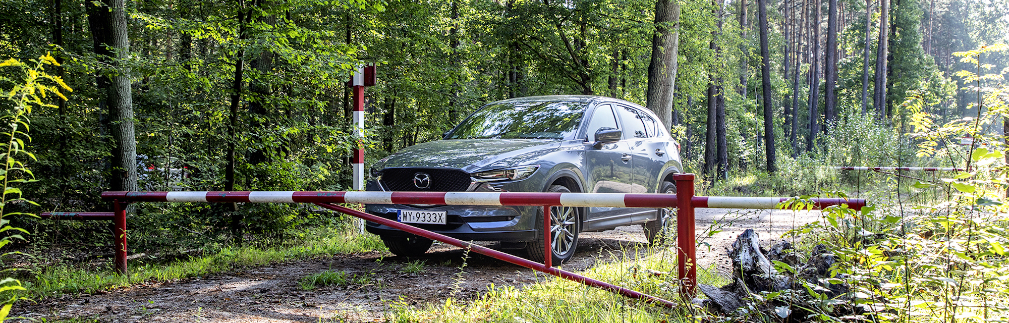 Auto przy szlabanie w lesie