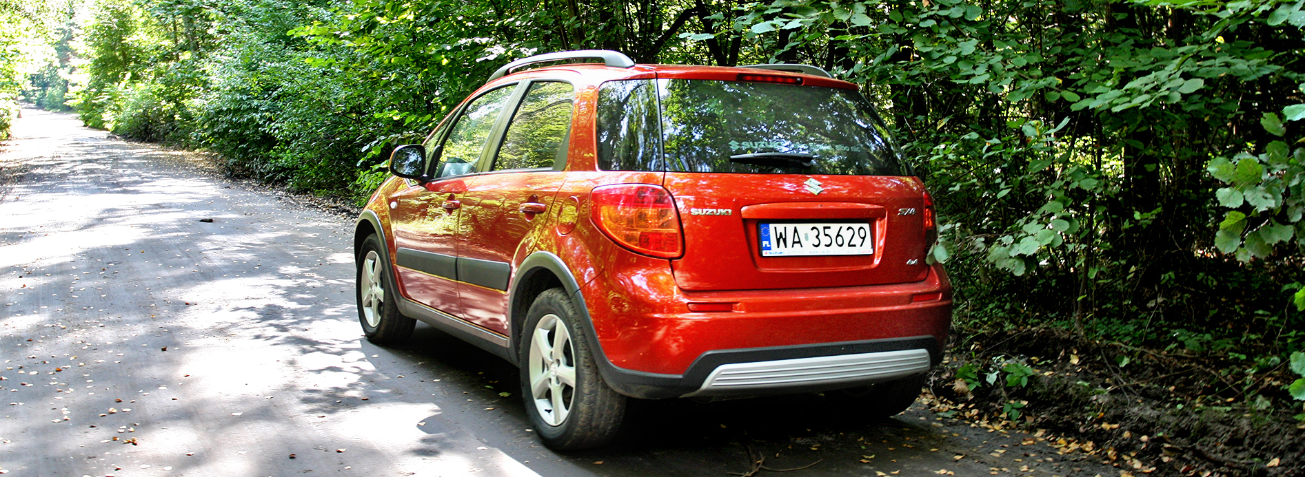 Auto na drodze leśnej