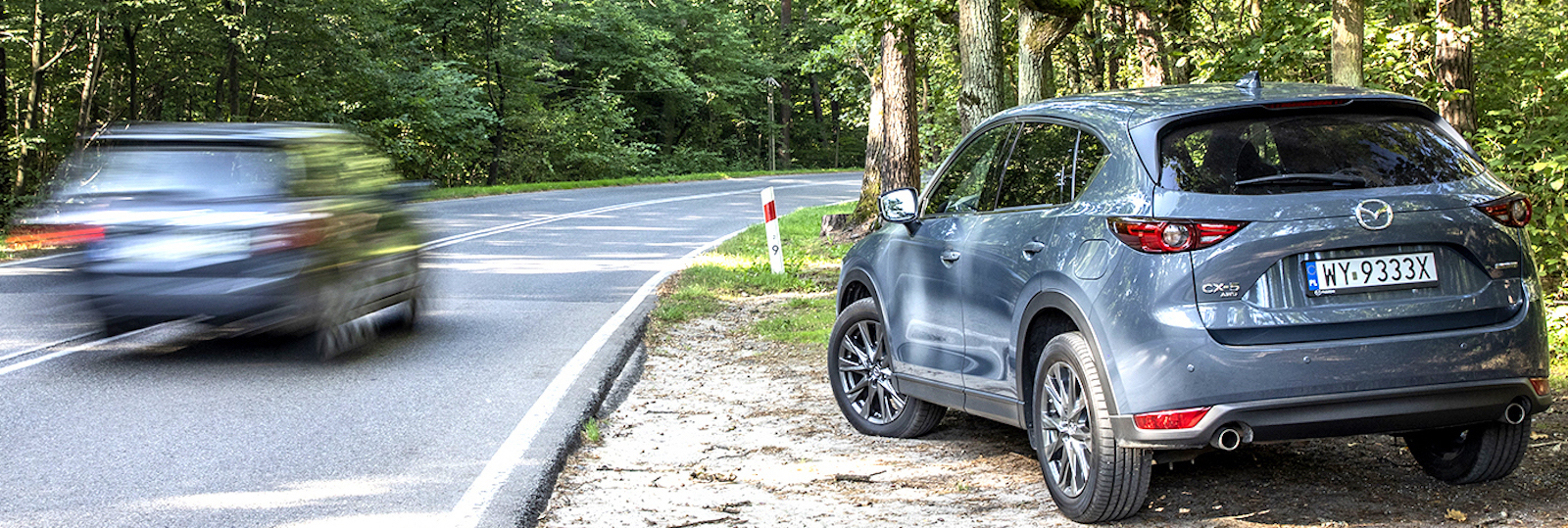 Droga publiczna przez las