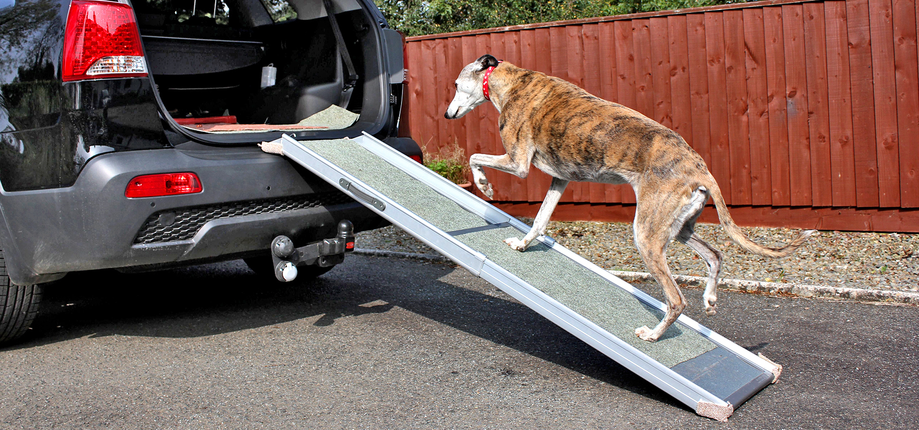 Rampa do wchodzenia dla psa