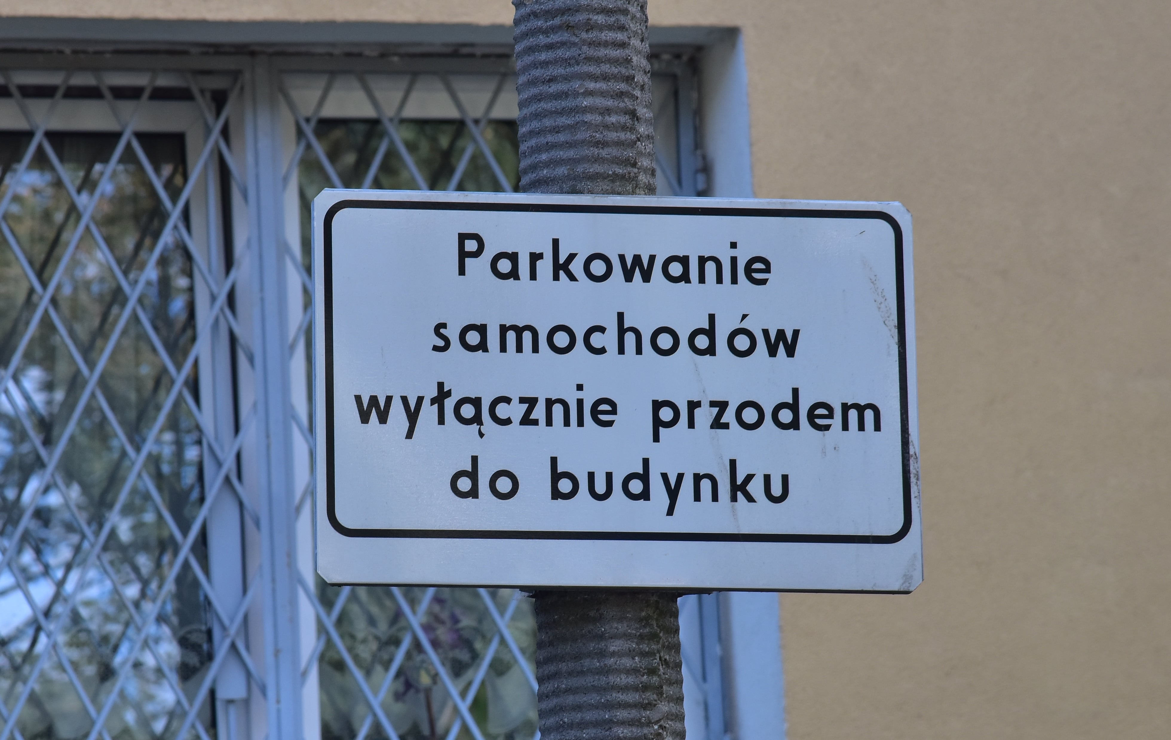 znak parkowanie samochodów wyłącznie przodem biały