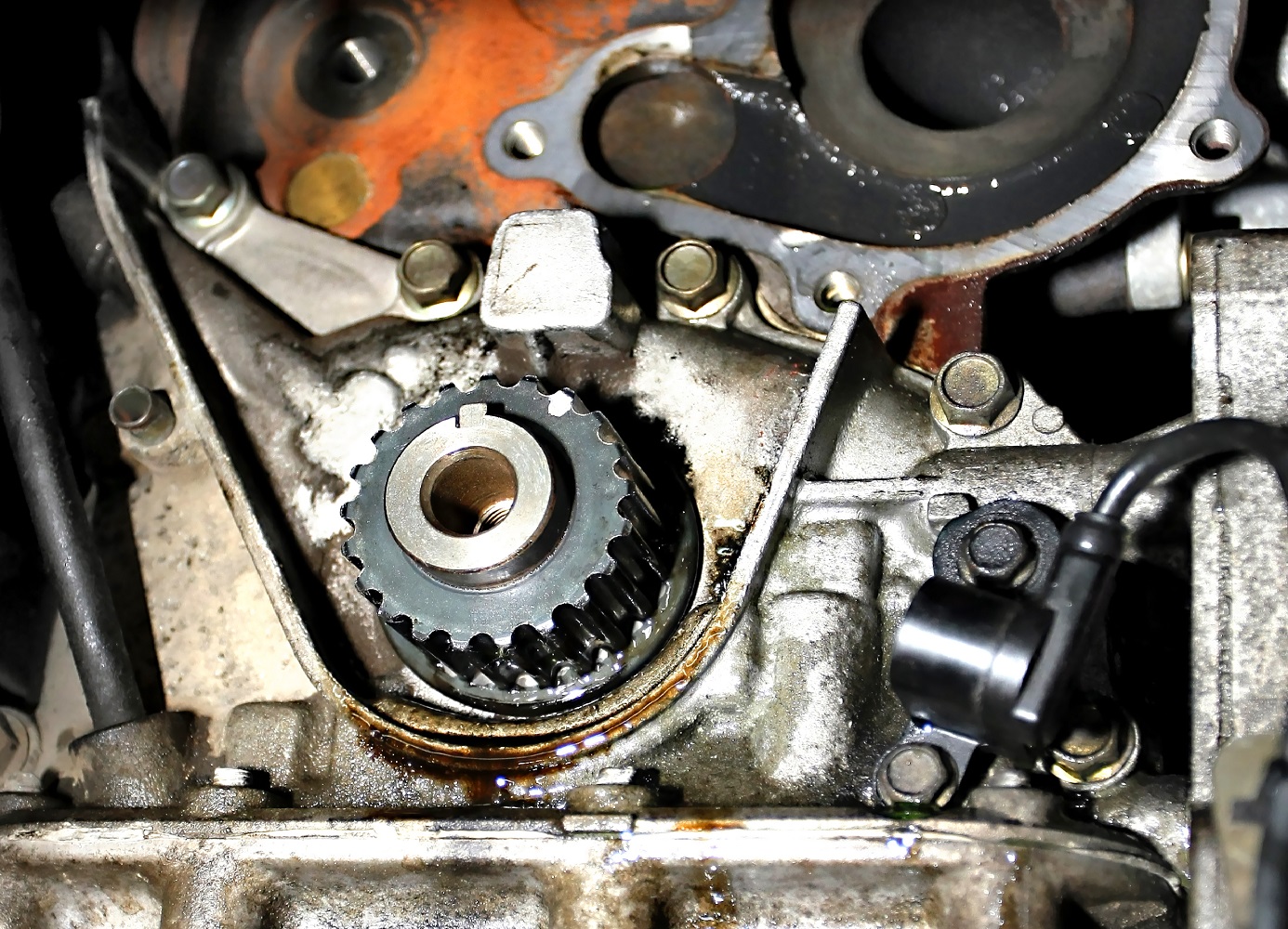 Wycieki oleju spod rozrządu