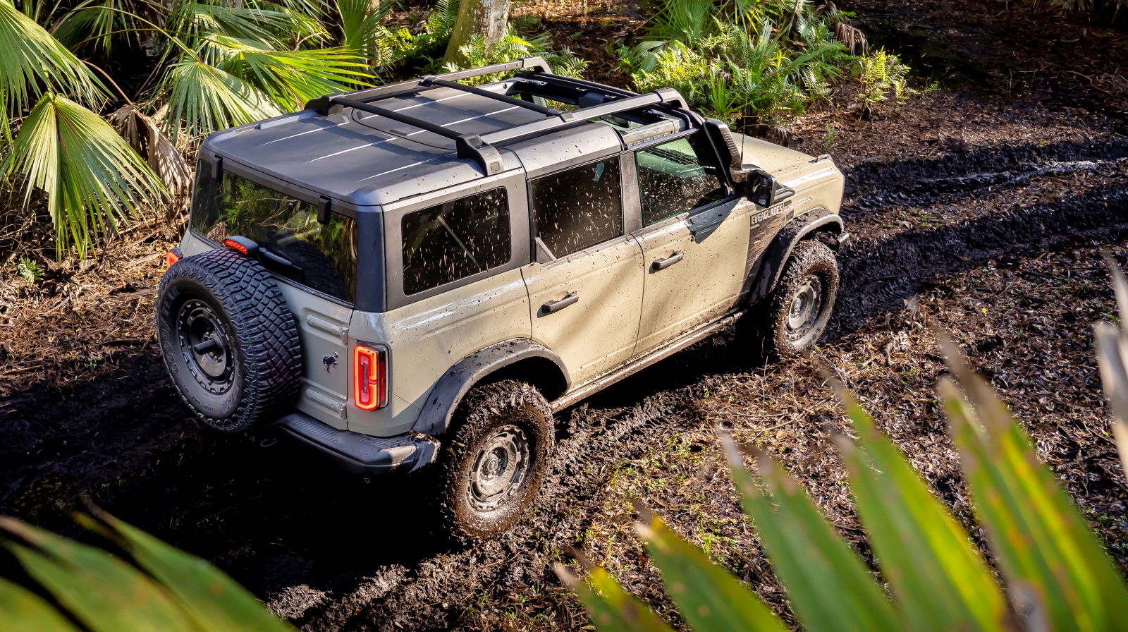 ford_bronco_everglades_tyl