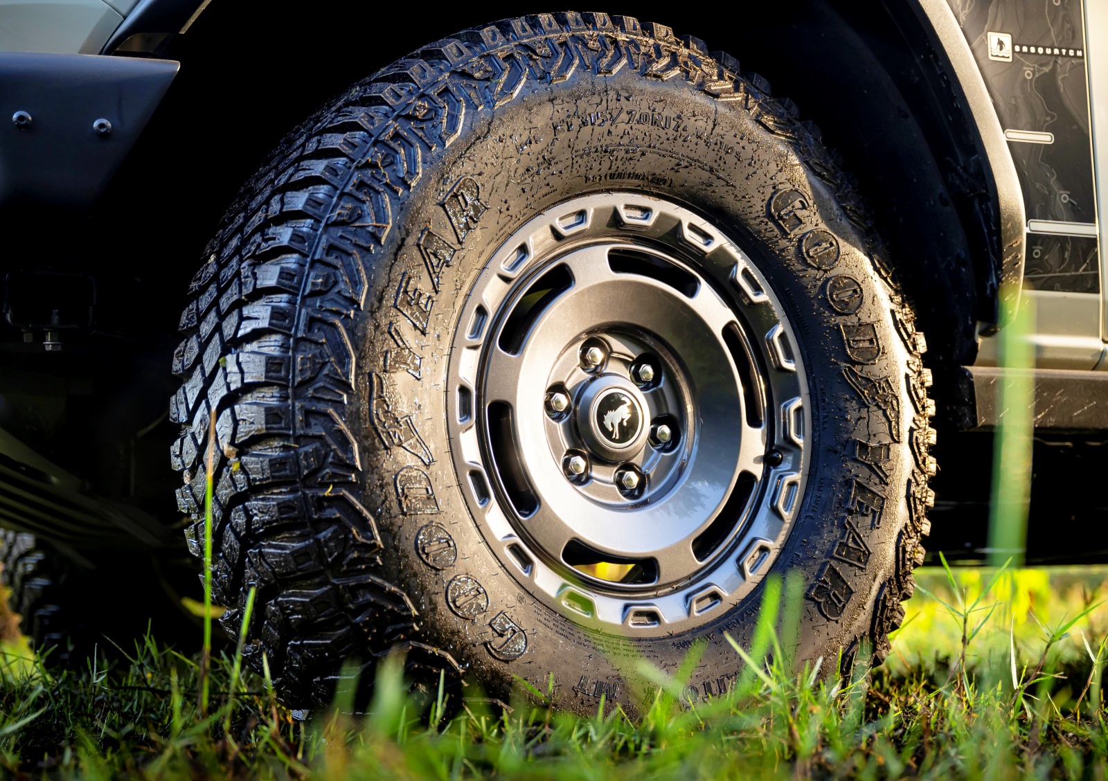 ford_bronco_everglades_kolo