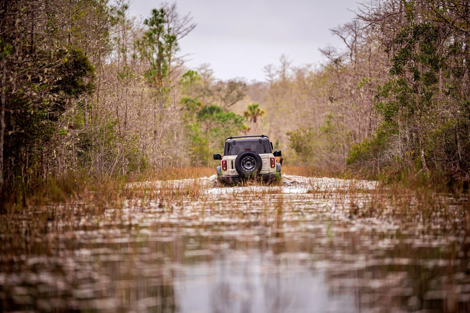 ford_bronco_everglades_tyl_1