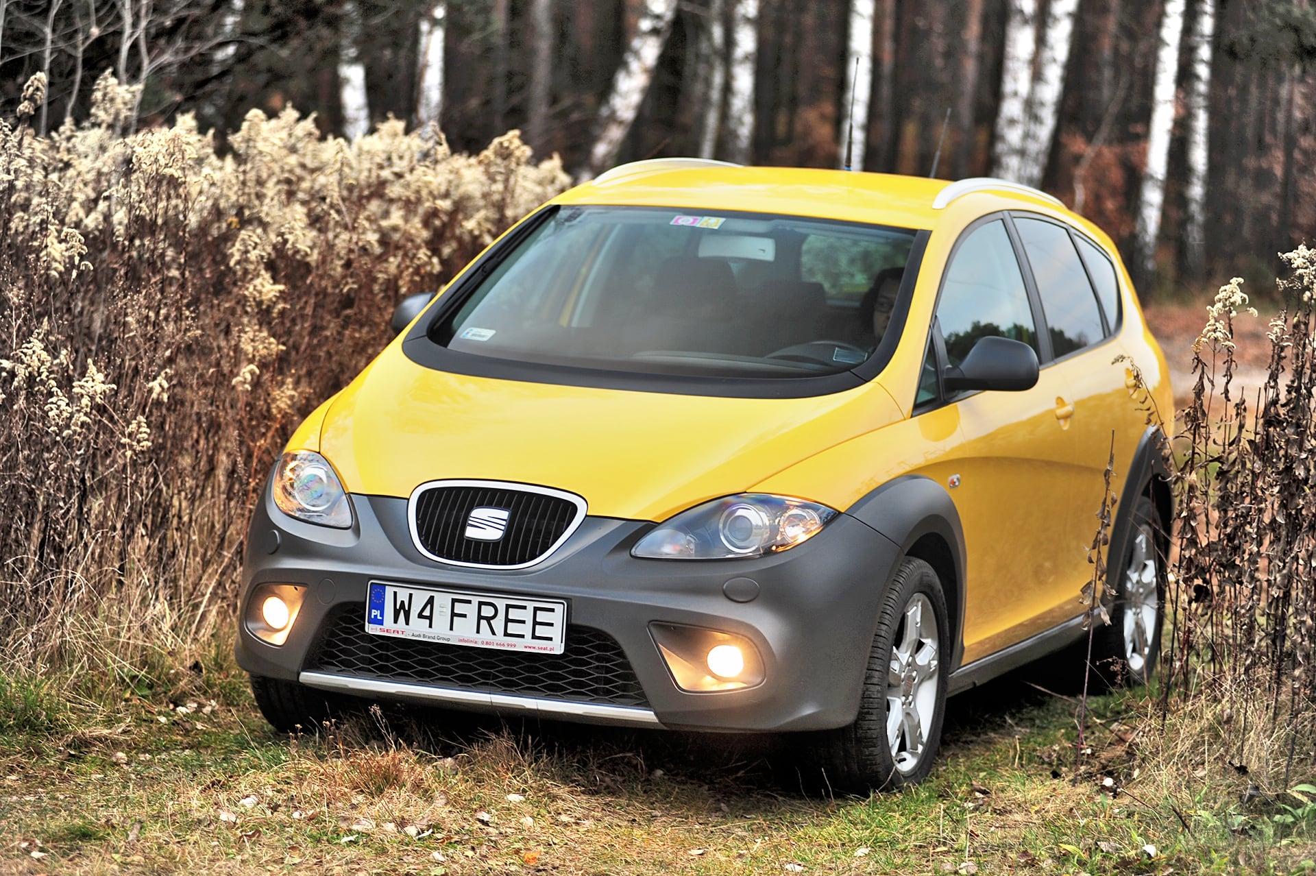 Seat Freetrack przód w terenie