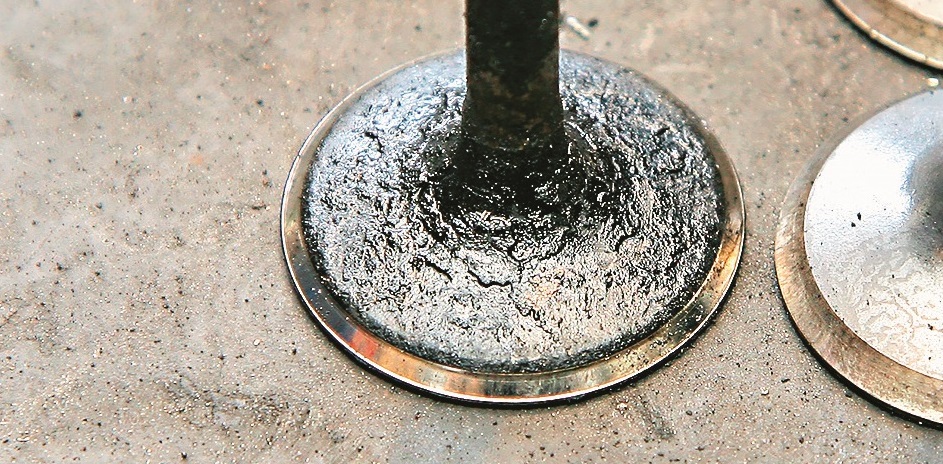 zuzyta_przylgnia_zawroru