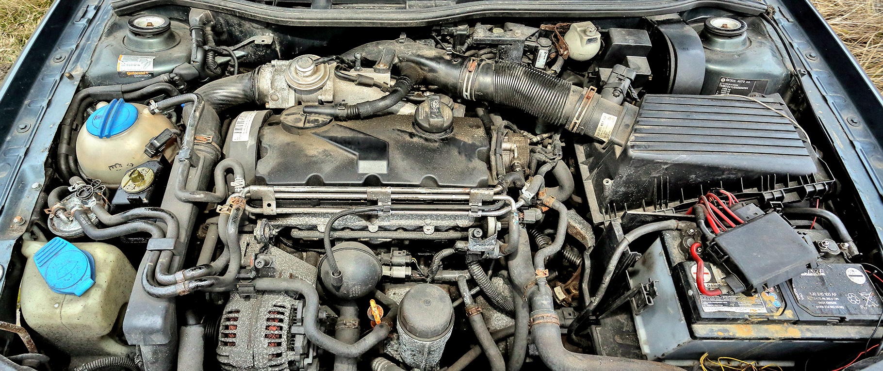 skoda octavia silnik