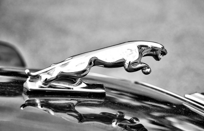 Jaguar – figurka na masce