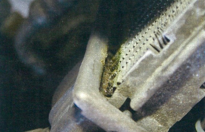 Daewoo Espero – nieszczelność chłodnicy