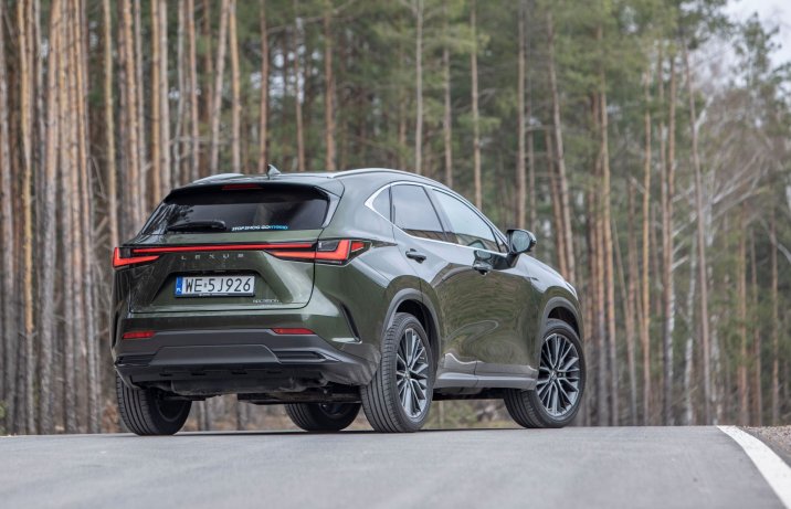 Lexus NX - tył