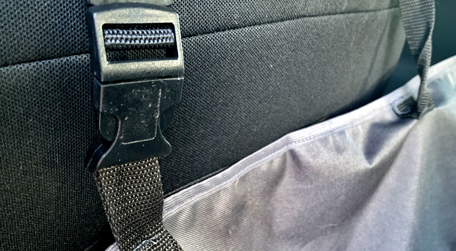 pogryziona zapinka maty na fotele