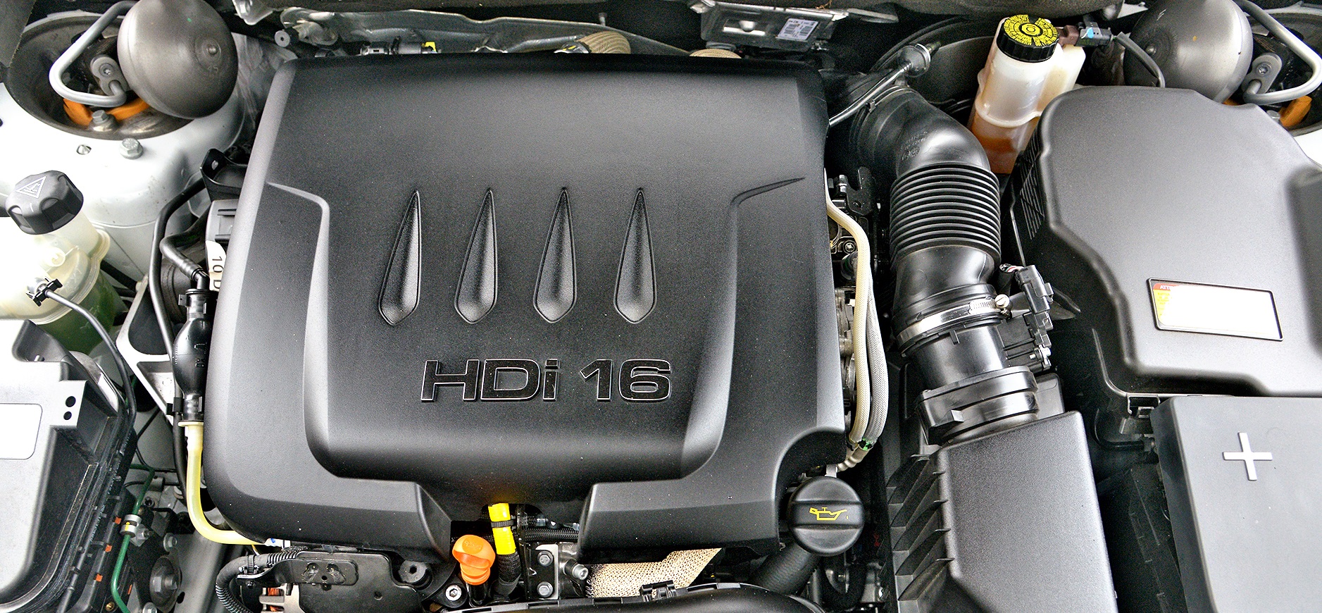 citroen c5 silnik hdi