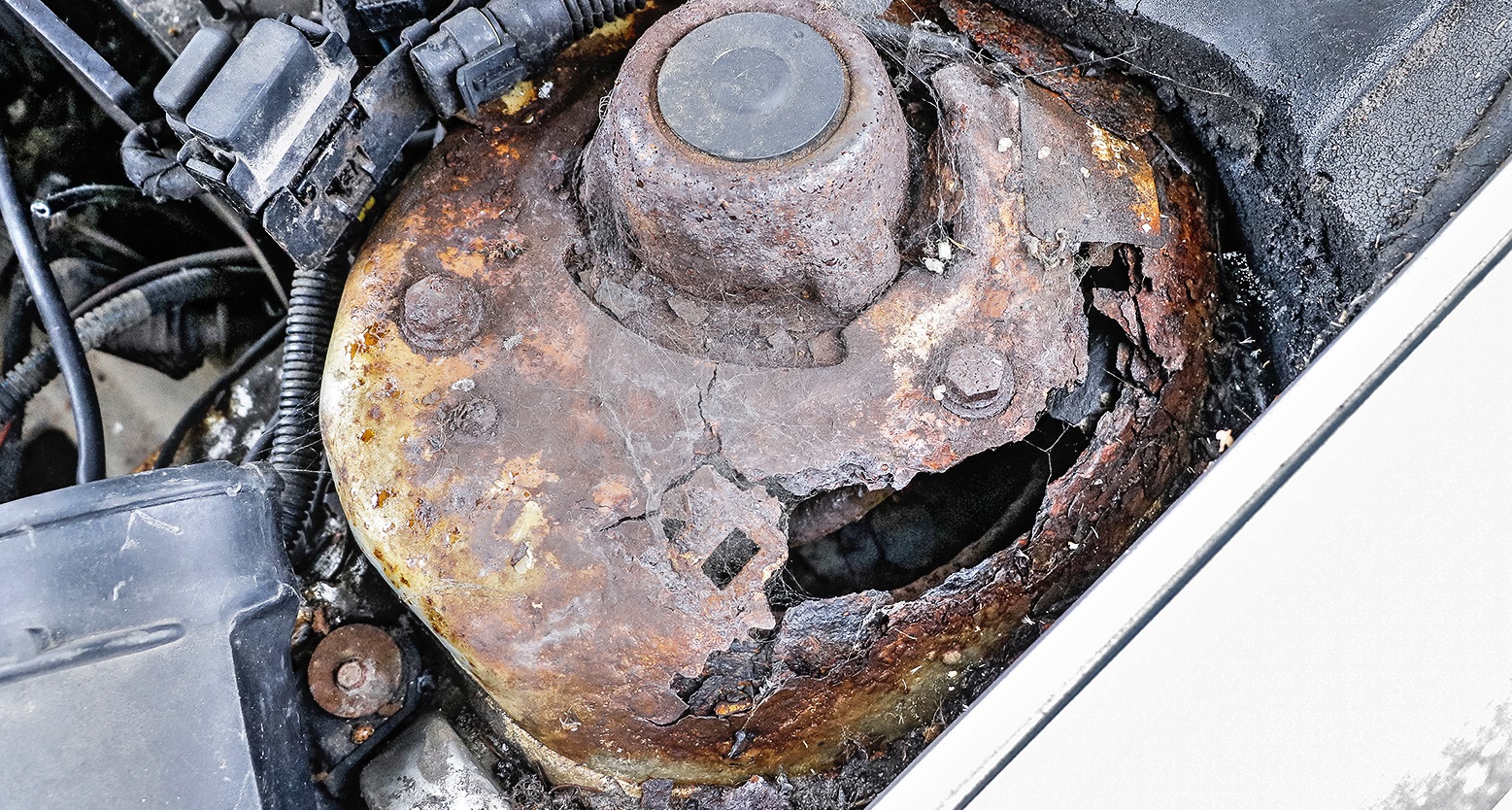 zardzewialy kielichy