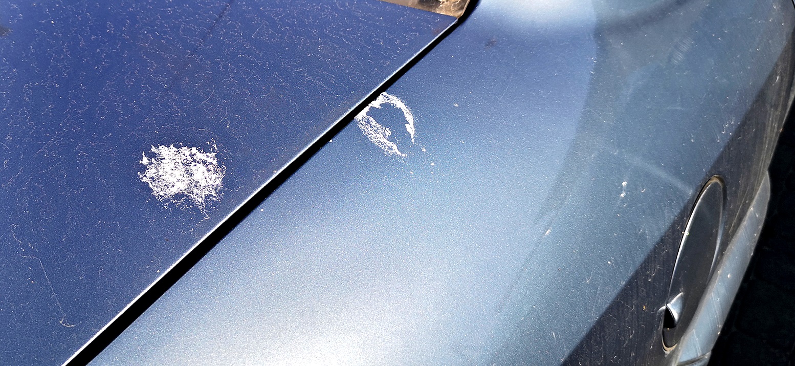 ptasie-odchody na aucie