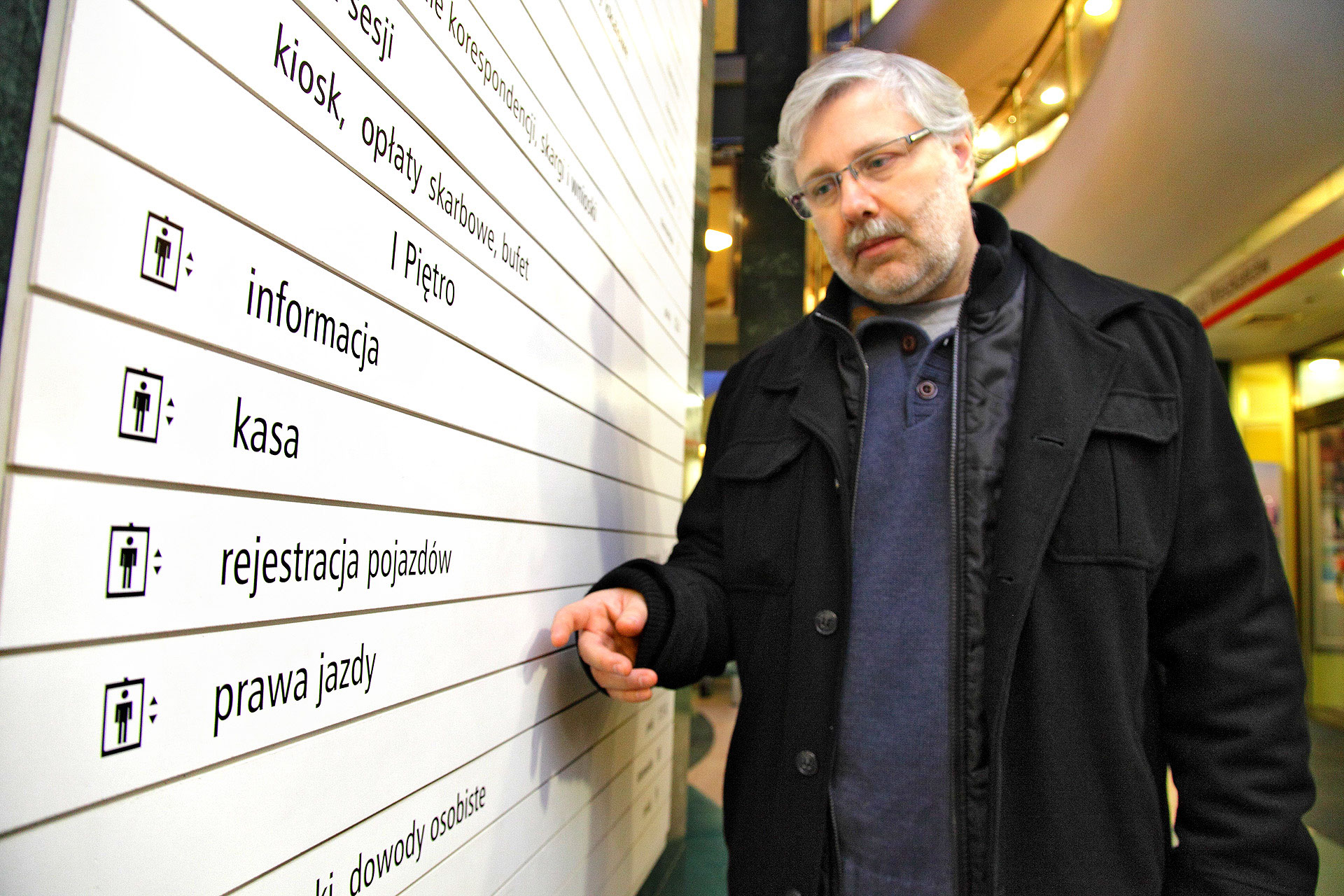 kierowca w wydziale komunikacji