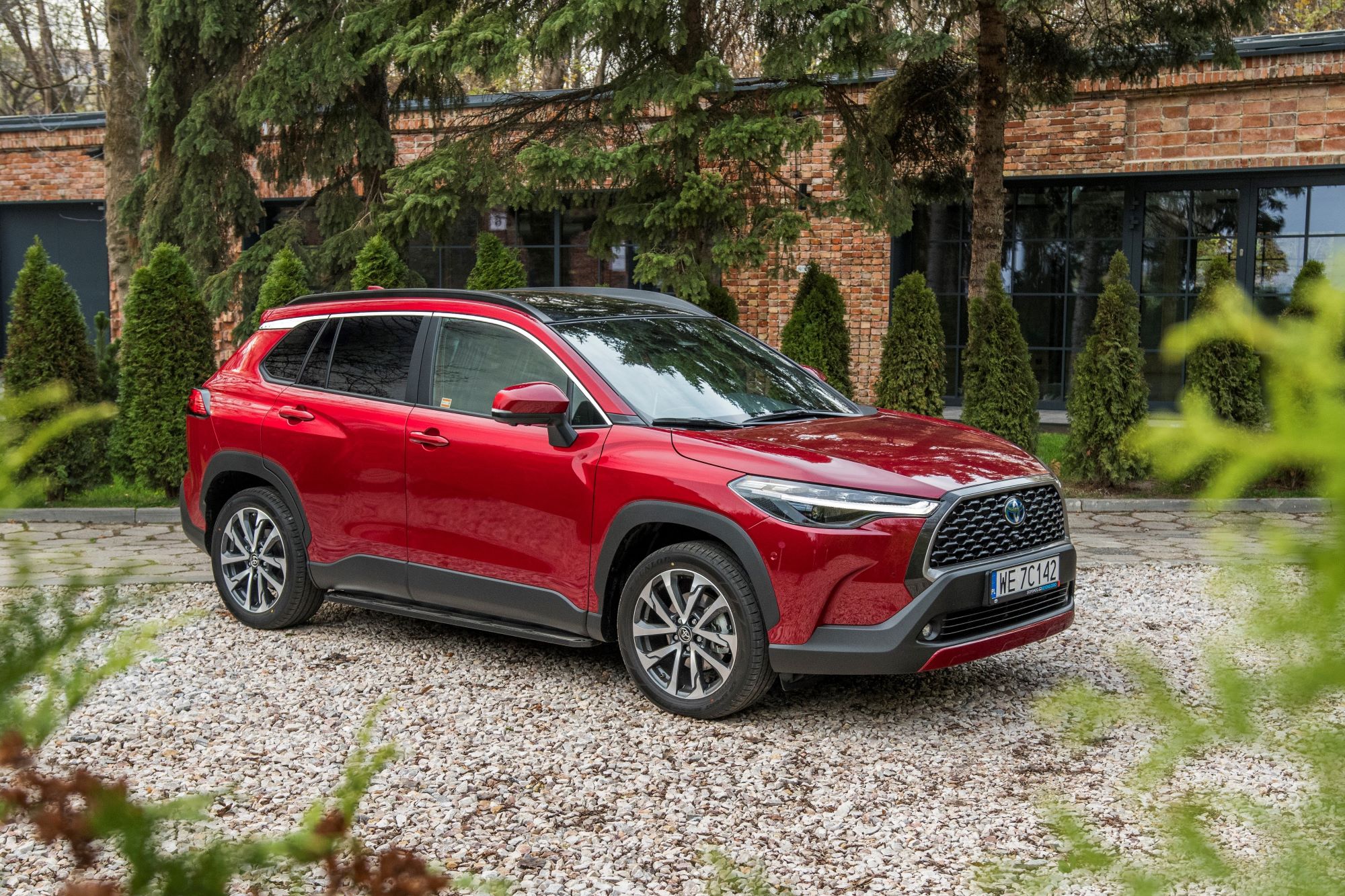 Toyota Corolla Cross - tyl 2