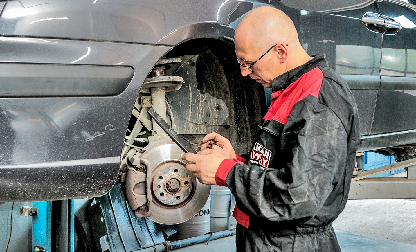 ocena stanu chamulcow