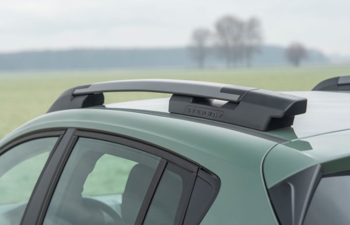 Dacia Sandero - relingi