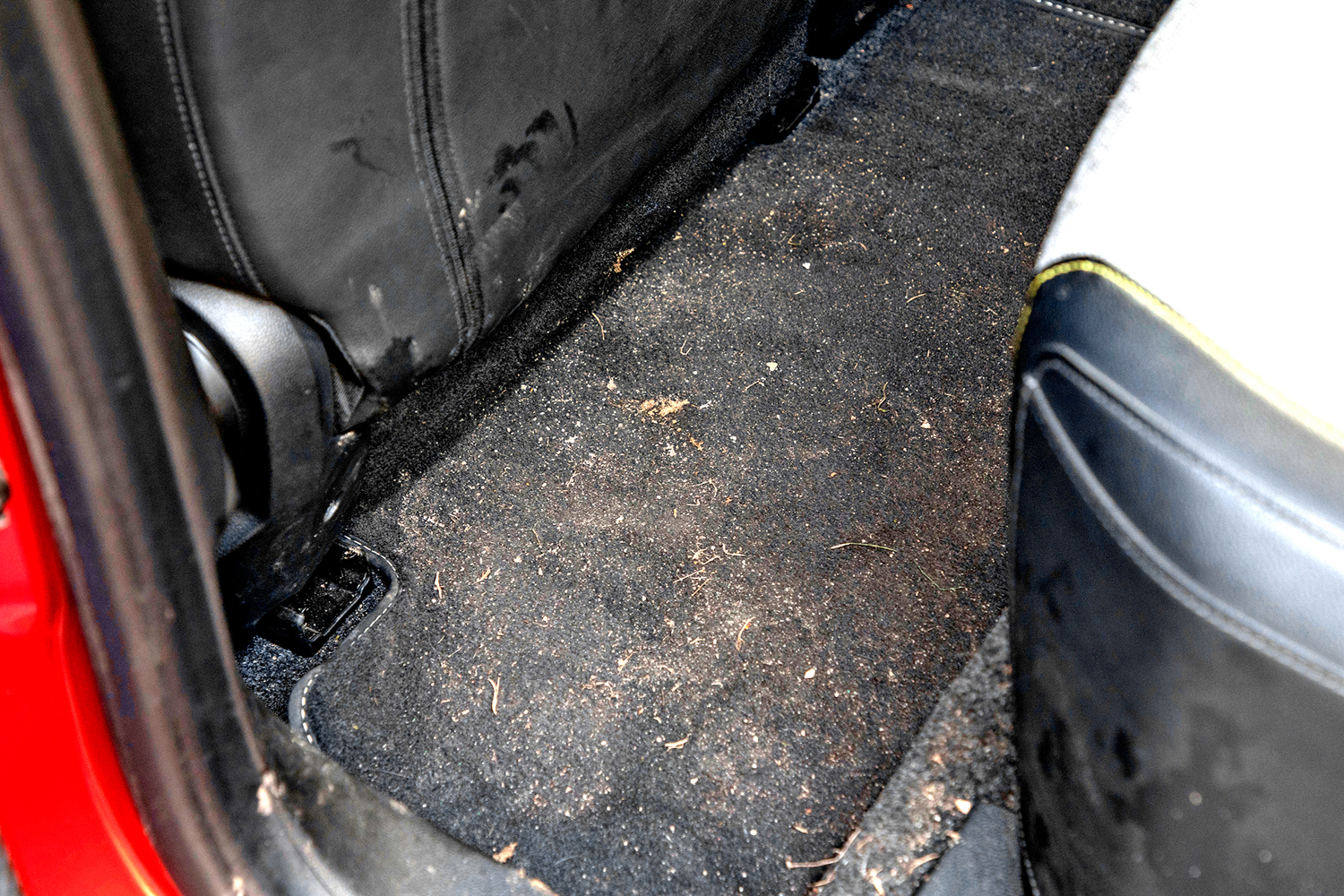 profesjonalne mycie aut_dywanik przed