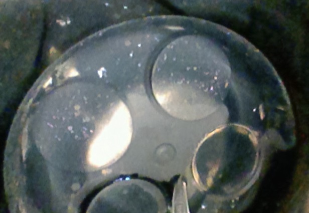 sprawdzanie silnika_endoskop osady