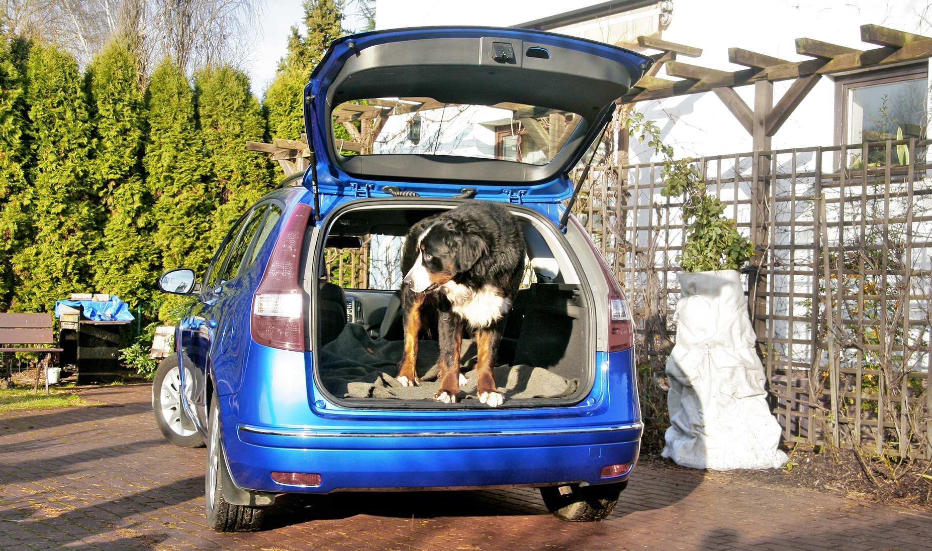 pierwsze uzywane auto_bagaznik