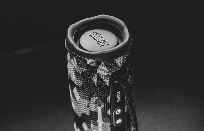 JBL Flip 6 MG Edition – w pionie