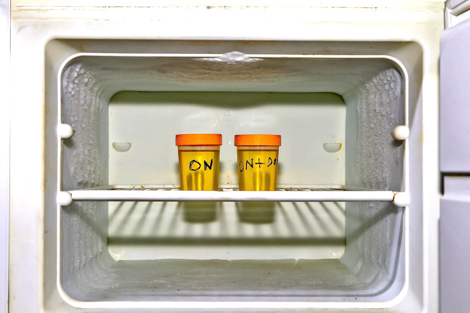 test depresatora_mrozenie probek