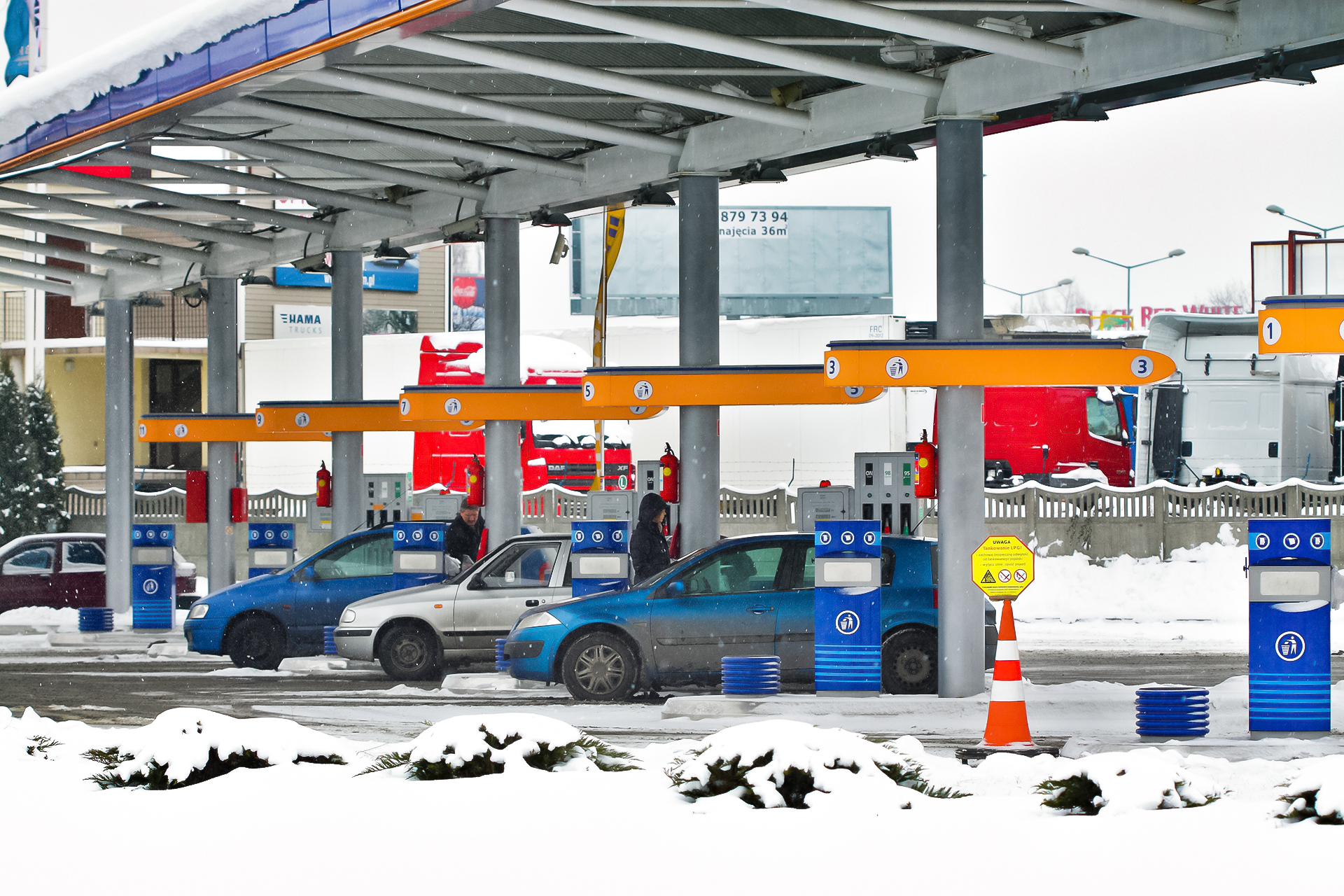 rok 2024 dla kierowcow_paliwo e10