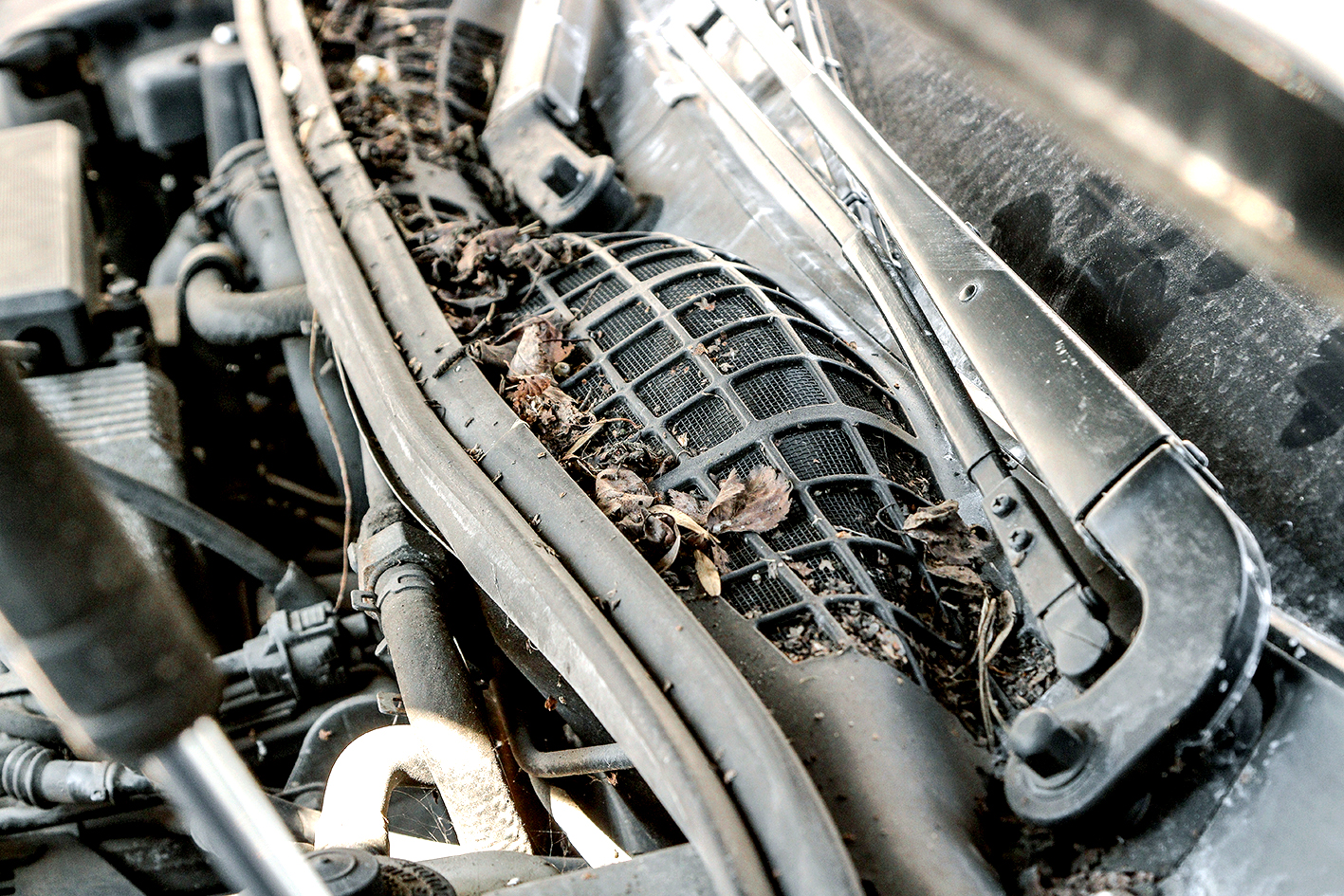 zapuszczone auto_odpływ wody