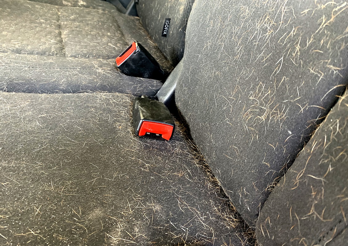 zapuszczone auto_tapicerka