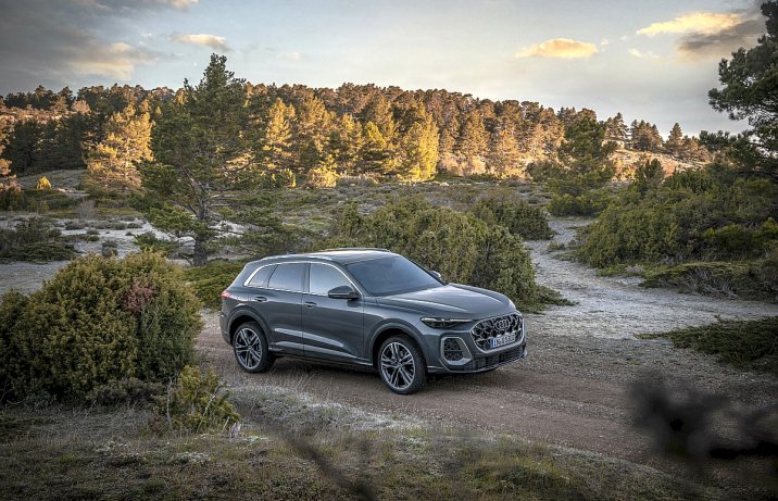 2025 Audi Q5