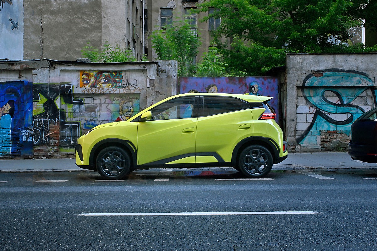 BYD Dolphin Surf (84)