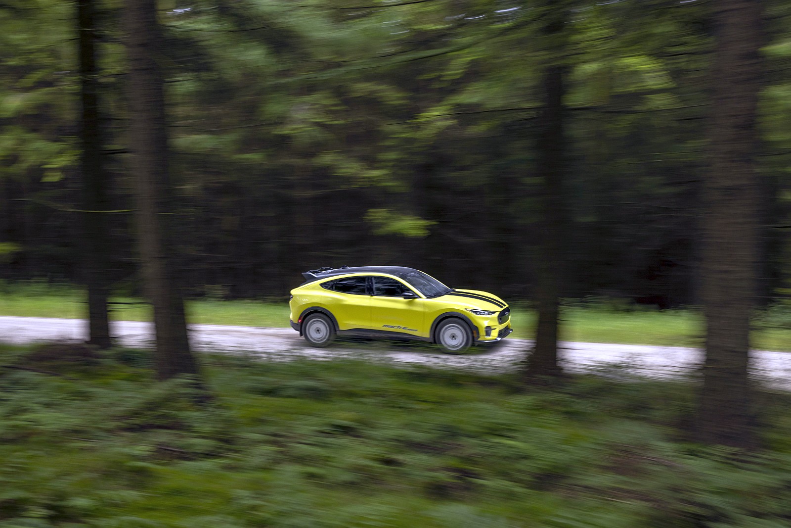 Ford Mustang Mach-e_02