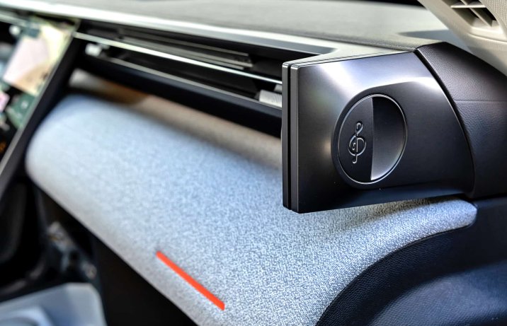 Citroën C5 Aircross 2025 – głośnik