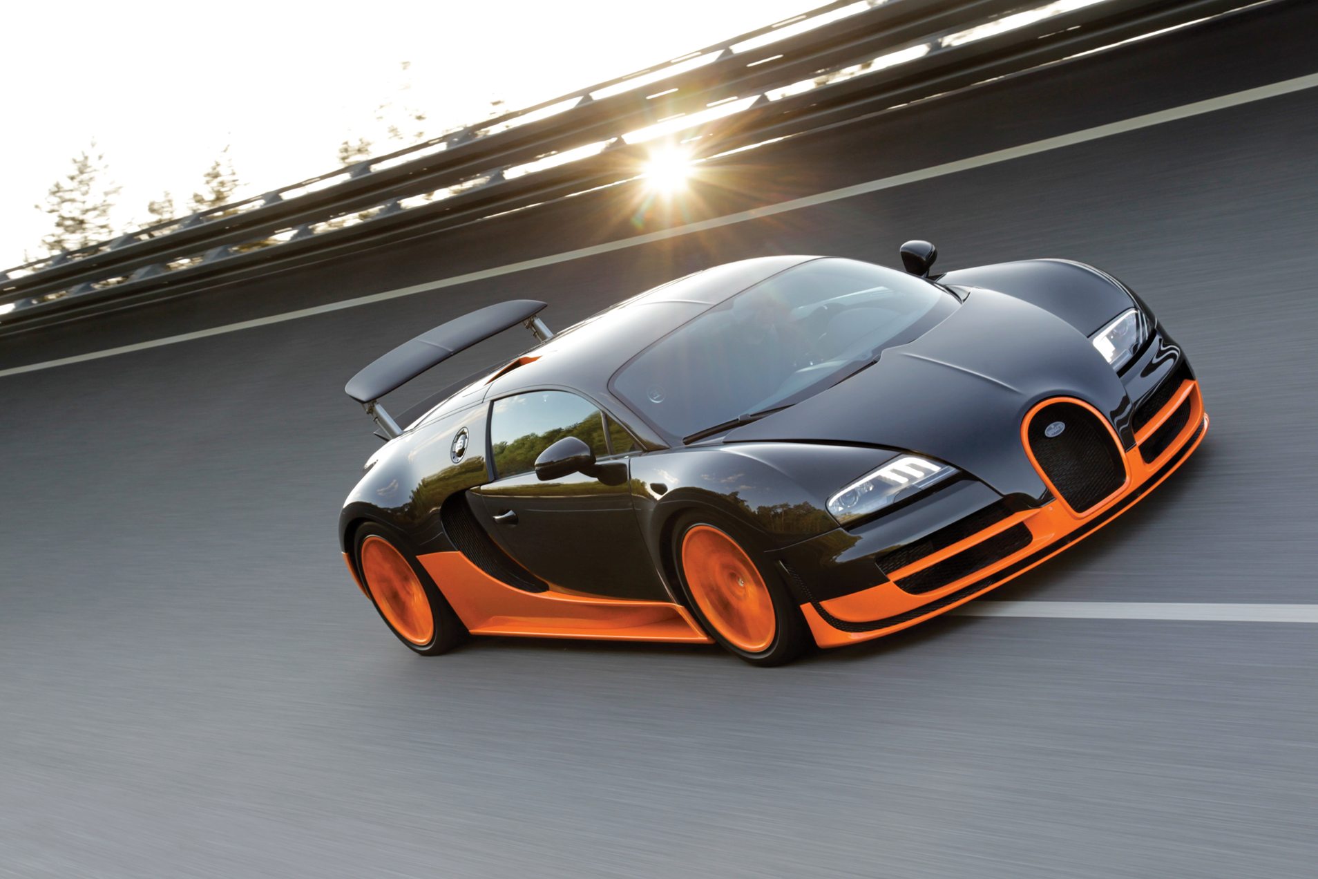 6_Bugatti Veyron 1 (1)