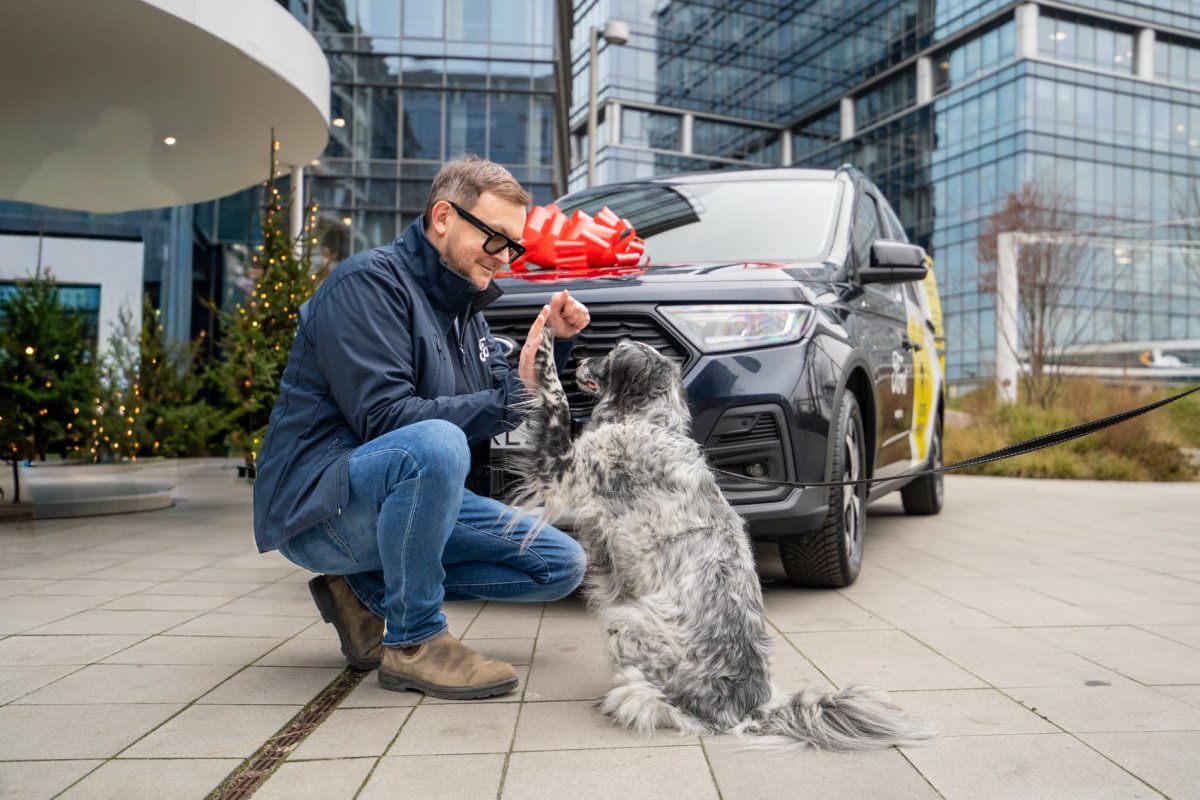 Przedświąteczny gest Forda: Transit Connect PHEV pomoże ratować zwierzęta z Fundacją Psia Krew i Animal Helper