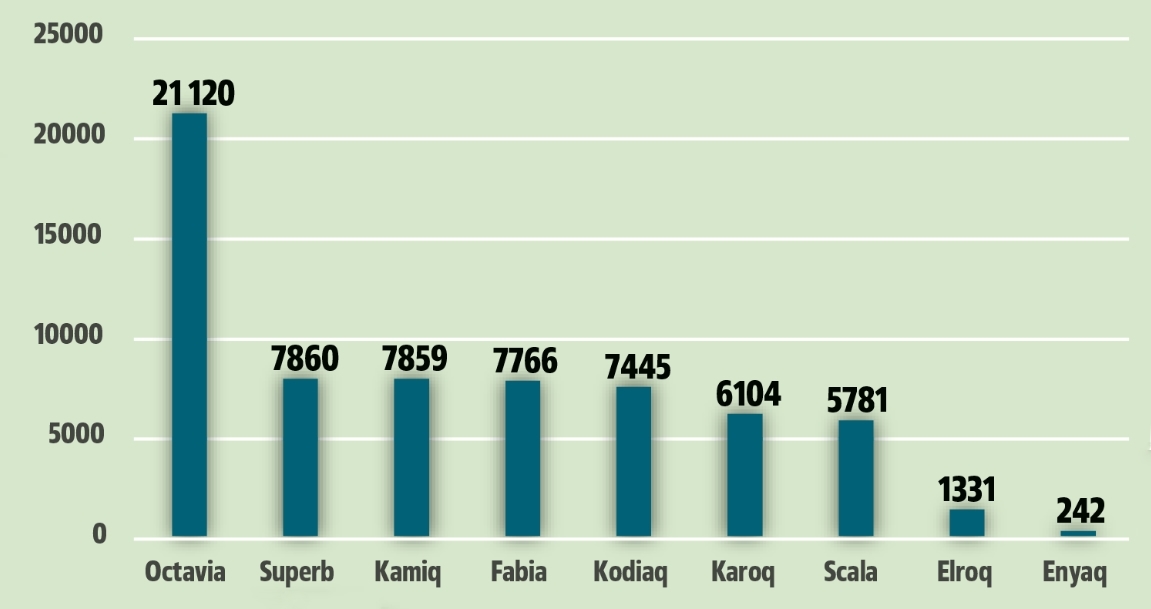 ranking-popularnosci-modeli-skody-w-polsce-w-2025-roku-1