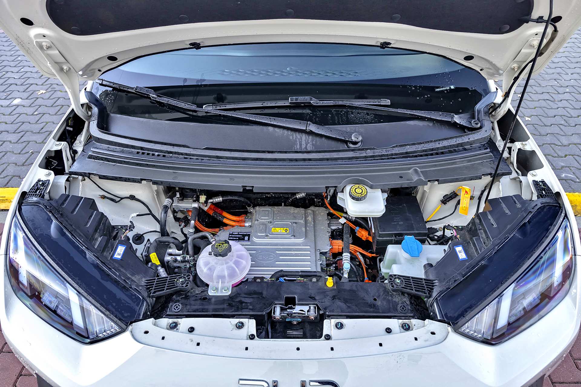 BYD Dolphin Surf Comfort – pod maską