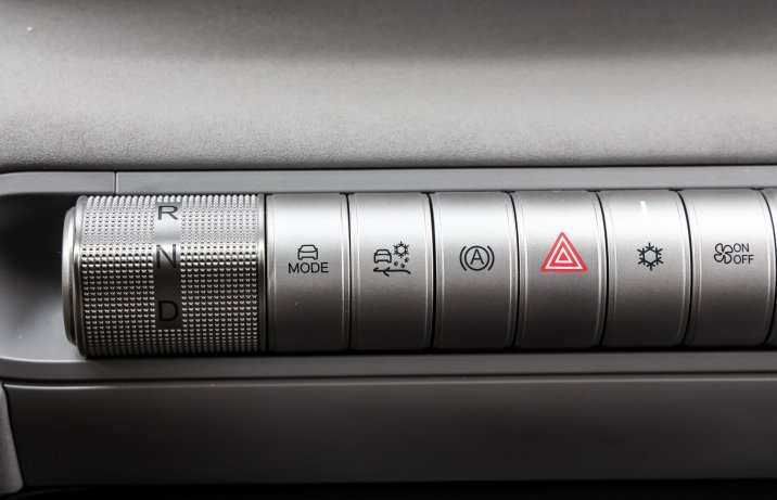 BYD Dolphin Surf - przełączniki