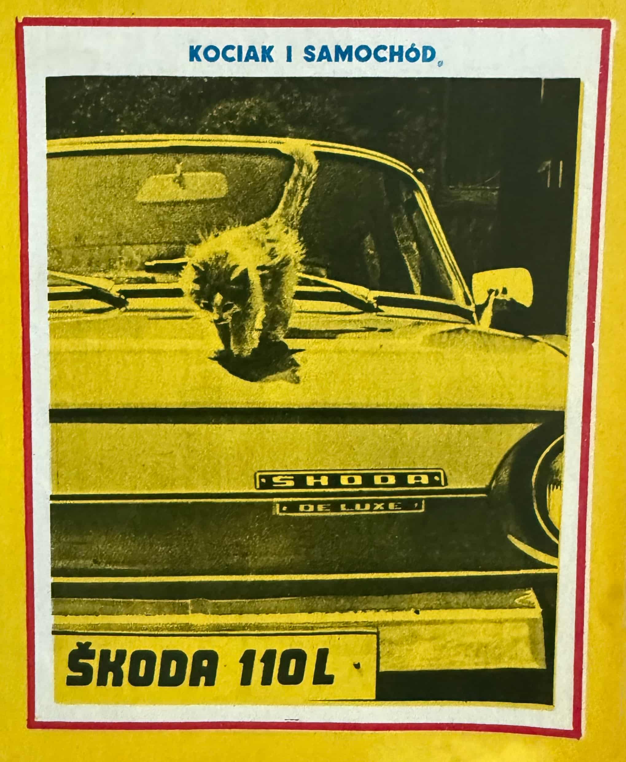 skoda-110-l-z-kotem-motor-1976