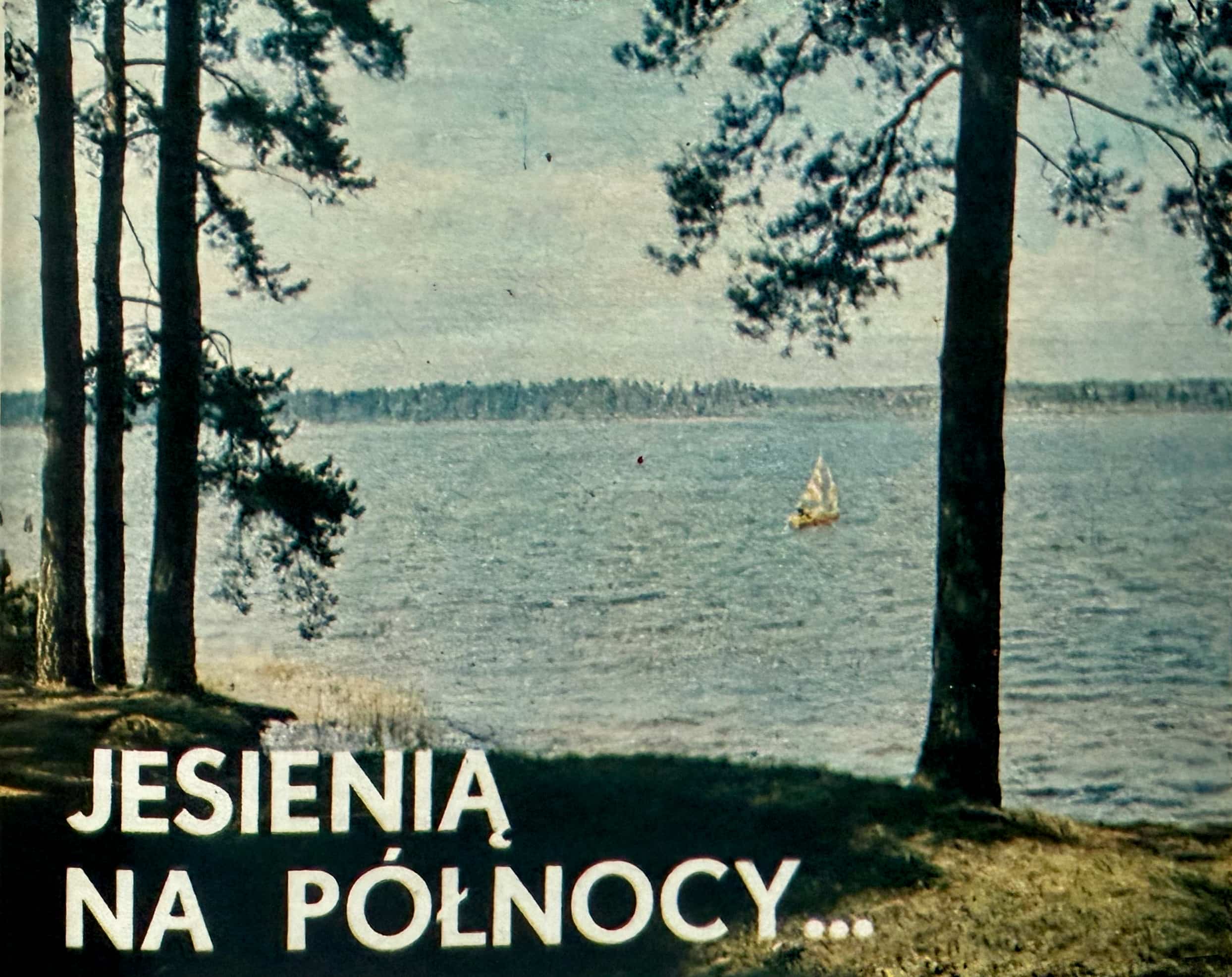 jezioro-widok-z-brzegu