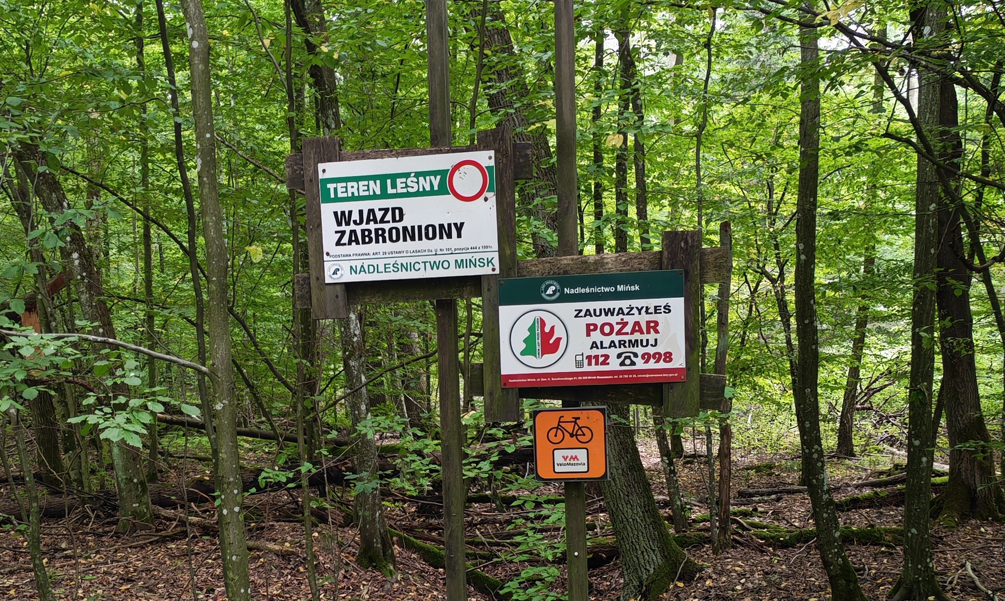monitoring-w-lasach