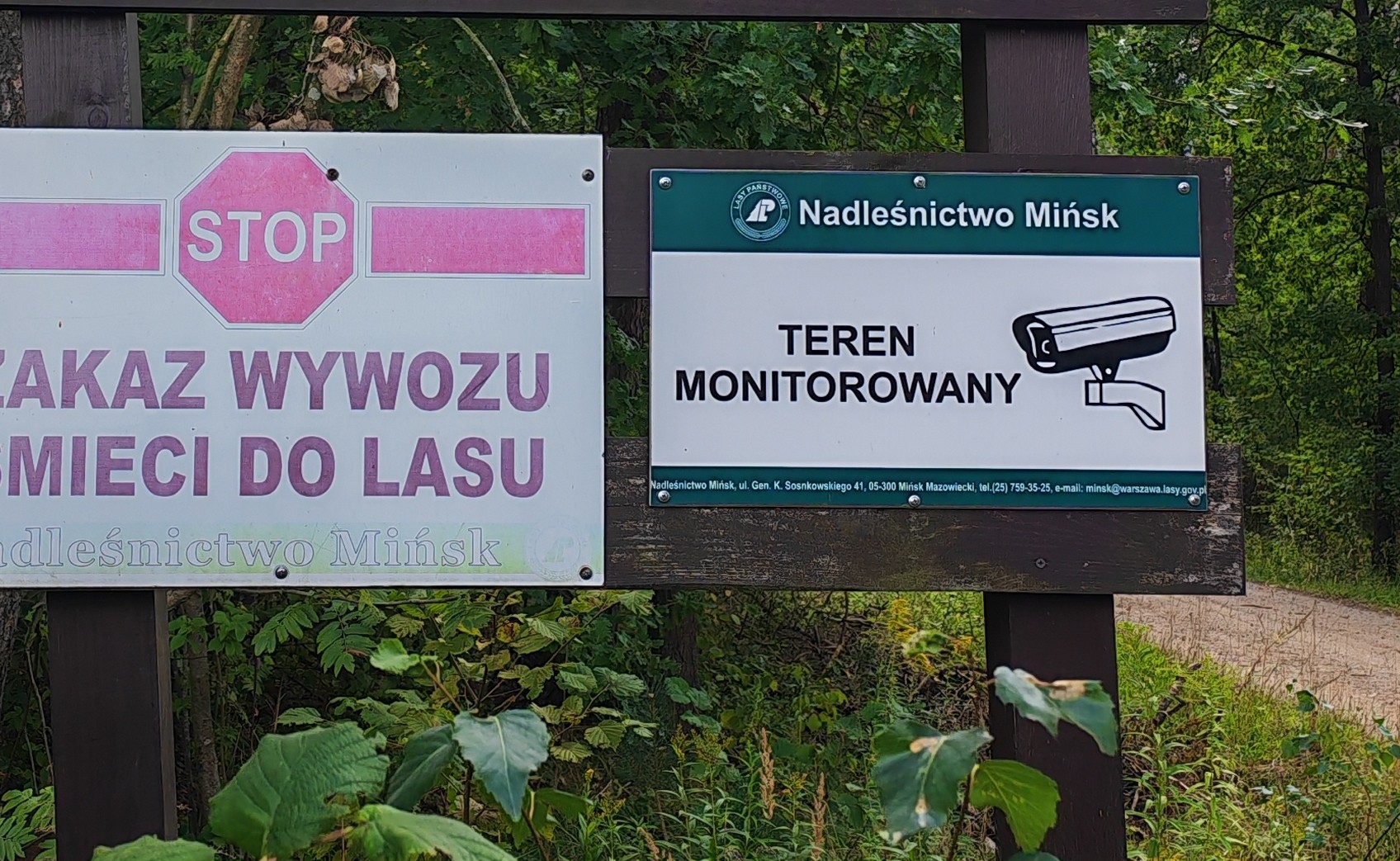 monitoring-w-lesie